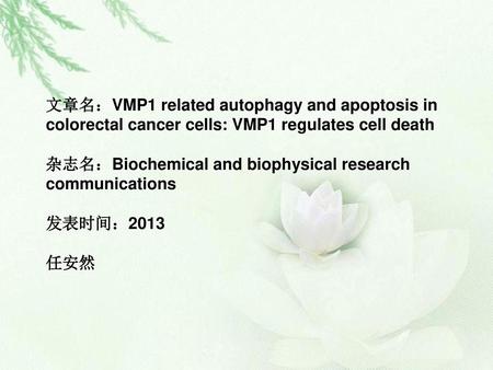 文章名：VMP1 related autophagy and apoptosis in colorectal cancer cells: VMP1 regulates cell death 杂志名：Biochemical and biophysical research communications.