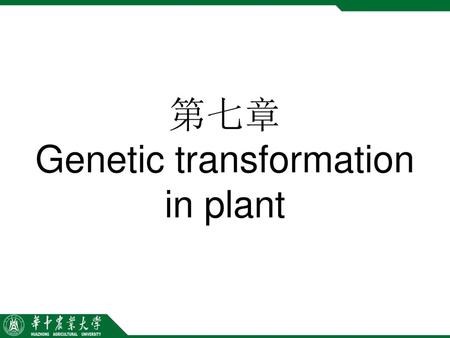 第七章 Genetic transformation in plant