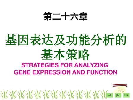 STRATEGIES FOR ANALYZING GENE EXPRESSION AND FUNCTION