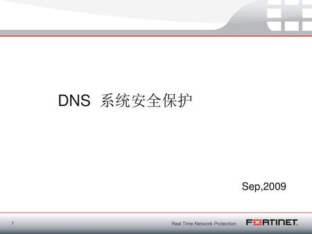 DNS 系统安全保护 Sep,2009.