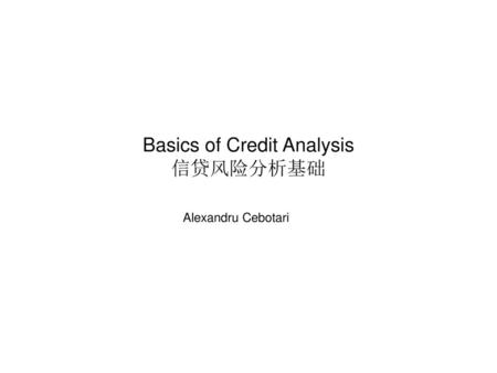 Basics of Credit Analysis 信贷风险分析基础