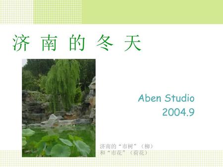 济 南 的 冬 天 济南的“市树”（柳）和“市花”（荷花） Aben Studio 2004.9.
