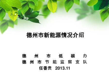 德州市新能源情况介绍 德州市低碳办 德州市节能监察支队 任香贵 2013.11.