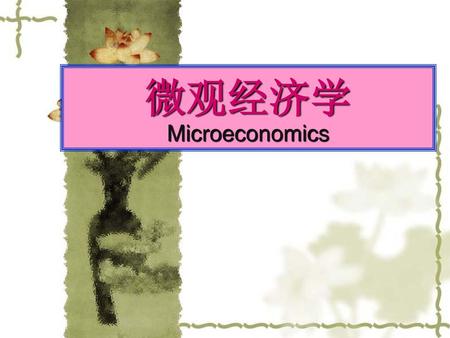 微观经济学Microeconomics.