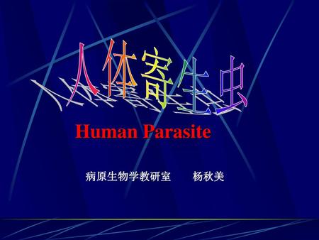 人体寄生虫 Human Parasite 病原生物学教研室 杨秋美.