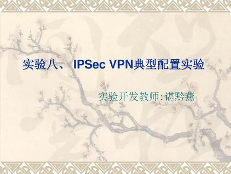 实验八、 IPSec VPN典型配置实验 实验开发教师:谌黔燕.