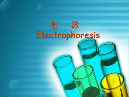 电 泳 Electrophoresis.