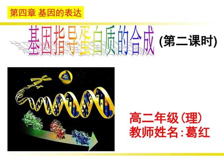 第四章 基因的表达 基因指导蛋白质的合成 (第二课时) 高二年级(理) 教师姓名:葛红.