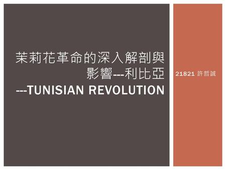 茉莉花革命的深入解剖與影響---利比亞 ---Tunisian Revolution