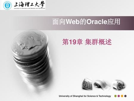 面向Web的Oracle应用 第19章 集群概述.