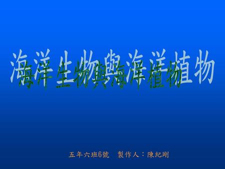 海洋生物與海洋植物 五年六班6號 製作人：陳紀剛.