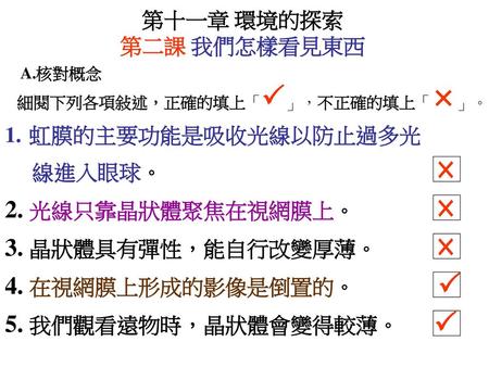 × × ×   2. 光線只靠晶狀體聚焦在視網膜上。 3. 晶狀體具有彈性，能自行改變厚薄。 4. 在視網膜上形成的影像是倒置的。