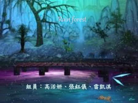 Rain forest 組員：高活妍、張鈺儀、雷凱淇.