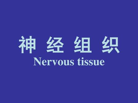神 经 组 织 Nervous tissue.
