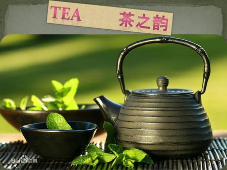 TEA 茶之韵.