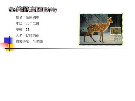 台灣保育類動物 校名：新屋國中 年級：八年二班 座號：11 大名：忧郁的倫 指導老師：洪老師.
