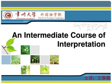 An Intermediate Course of Interpretation