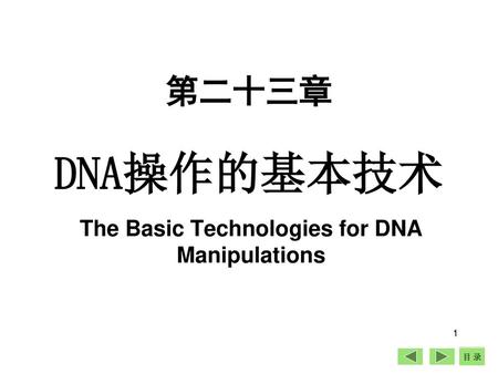 The Basic Technologies for DNA Manipulations
