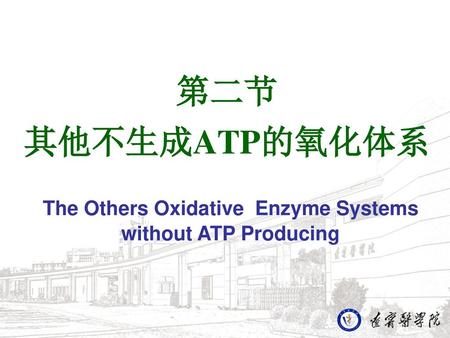 The Others Oxidative Enzyme Systems without ATP Producing