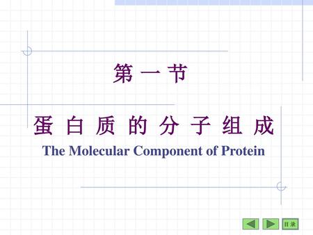 蛋 白 质 的 分 子 组 成 The Molecular Component of Protein
