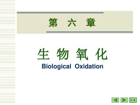 生 物 氧 化 Biological Oxidation