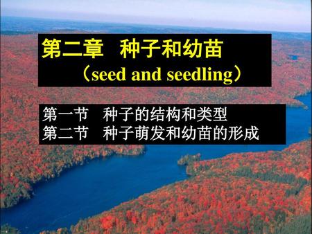 第二章 种子和幼苗 （seed and seedling）