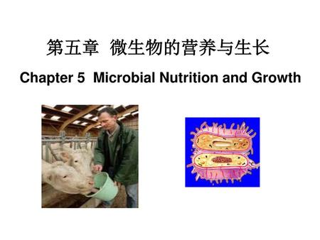Chapter 5 Microbial Nutrition and Growth