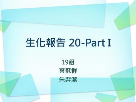 生化報告 20-Part Ι 19組 葉冠群 朱羿潔.