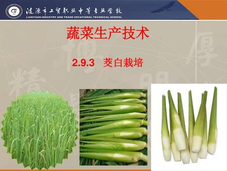 蔬菜生产技术 2.9.3 茭白栽培.
