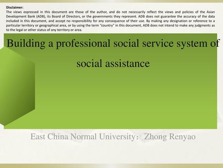 Building a professional social service system of social assistance