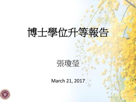 博士學位升等報告 張瓊瑩 March 21, 2017.