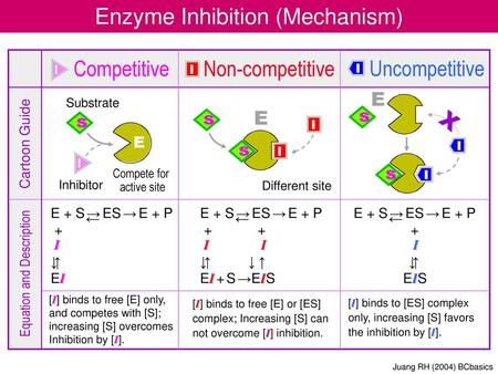 Enzyme Inhibition (Mechanism)