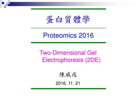 Two-Dimensional Gel Electrophoresis (2DE)