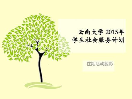 云南大学 2015年 学生社会服务计划 往期活动剪影.