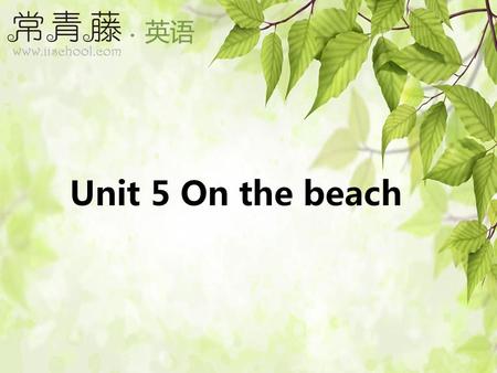 Unit 5 On the beach.