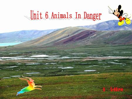 Unit 6 Animals In Danger.