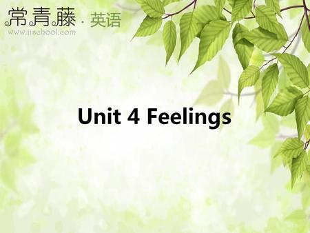 Unit 4 Feelings.