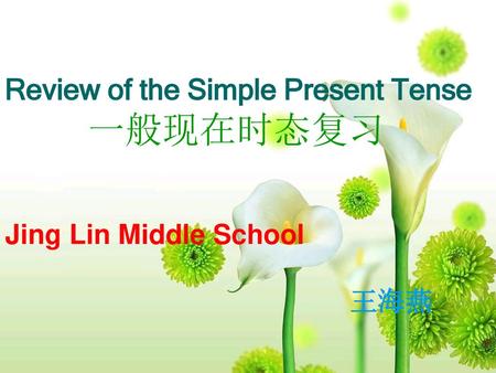 Review of the Simple Present Tense