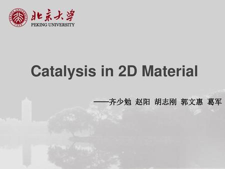 Catalysis in 2D Material