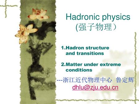 Hadronic physics (强子物理）