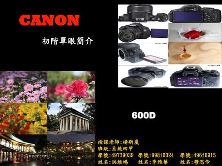 CANON 初階單眼簡介 600D 授課老師:楊斯嵐 班級:系統四甲 學號: 姓名:洪維鴻 學號:496f0915