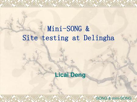 Mini-SONG & Site testing at Delingha