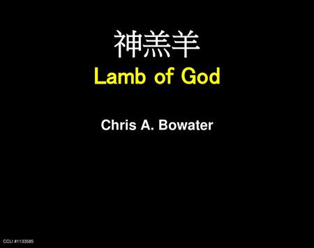 神羔羊 Lamb of God Chris A. Bowater CCLI #1133585.