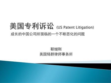 美国专利诉讼 (US Patent Litigation)