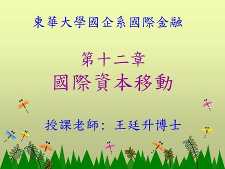 東華大學國企系國際金融 第十二章 國際資本移動 授課老師: 王廷升博士.