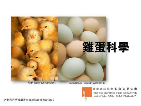雞蛋科學 活動內容版權屬香港青年協會擁有©2015 Keith Weller (28 April 2014)