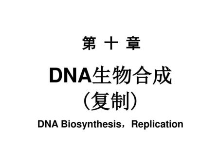 DNA Biosynthesis，Replication