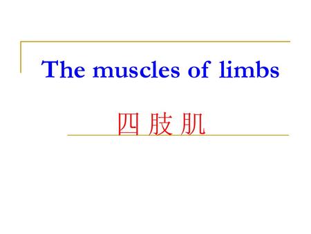 The muscles of limbs 四 肢 肌