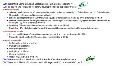 SCCS (Scientific Computing and Cardiovascular Simulation) laboratory