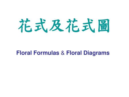 Floral Formulas & Floral Diagrams